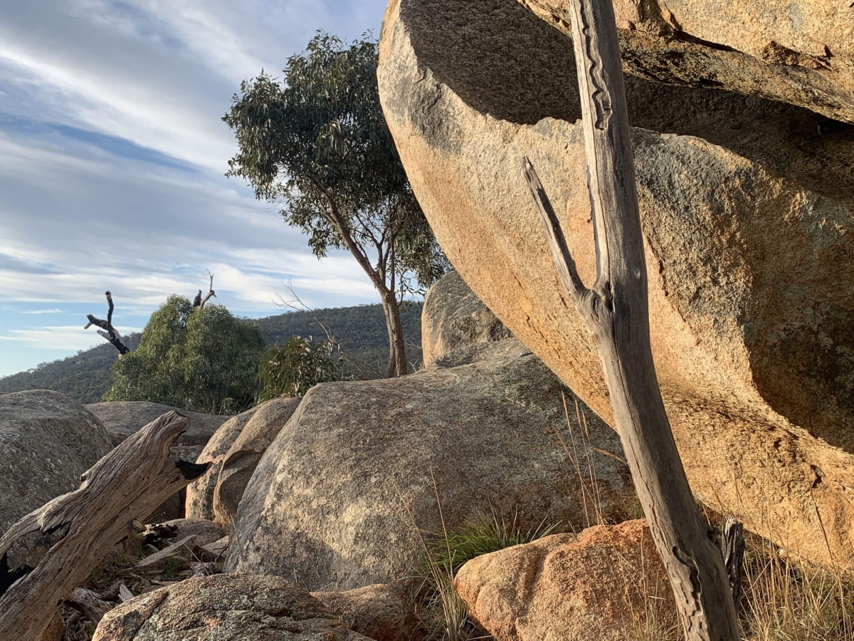 Granite rock in the Black Range