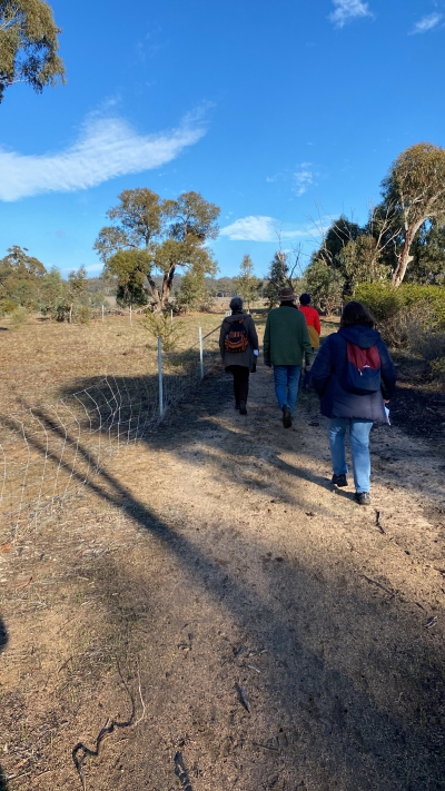 Walk on a riparian area revegetated 6 years ago  (2024)