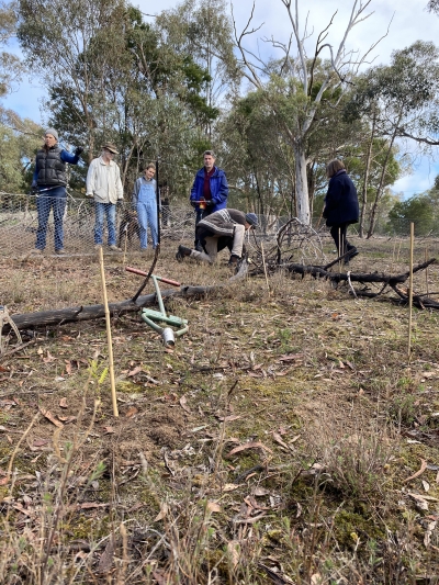 Enclosure plot fencing and revegetation in 2024