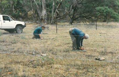 Working bee at Basin Reserve in 1996