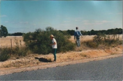 Seeds collection working bee in 1998