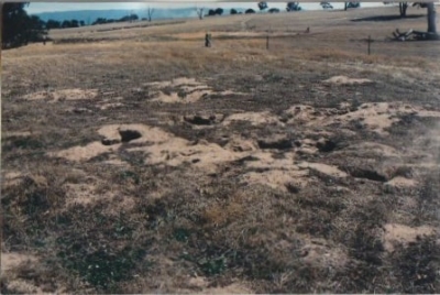 Rabbit Buster project in a landholders’s property in 1997 (After)