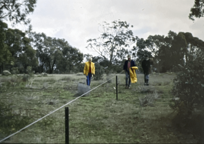 Fencing being erected at a landholder's property in 1990.