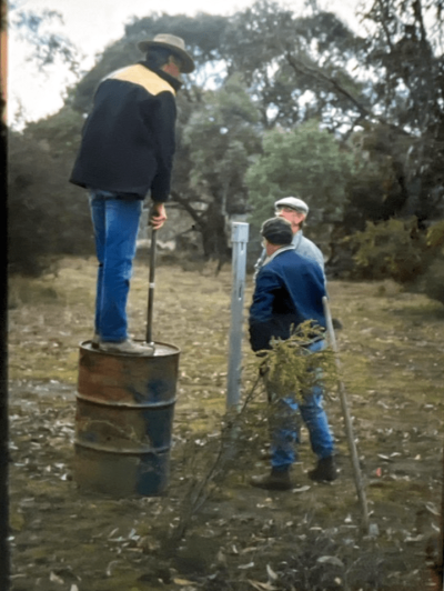 Fencing being erected at a landholder’s property in 1990.